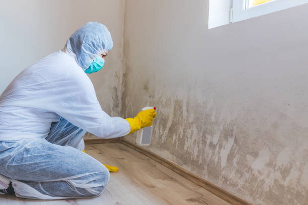 Hvac And Air Duct Mold Remediation inspection of HVAC system in Lorton